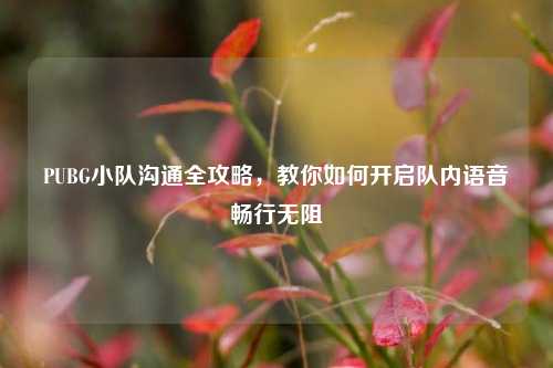 PUBG小队沟通全攻略,教你如何开启队内语音畅行无阻