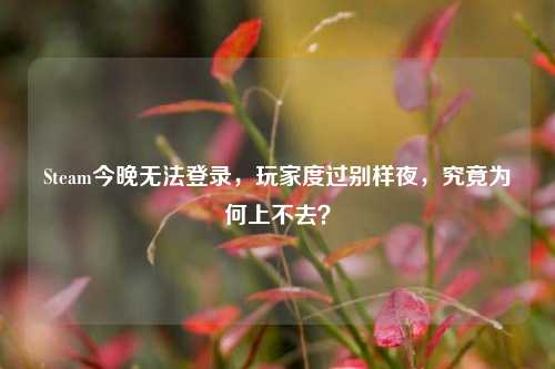 Steam今晚无法登录，玩家度过别样夜，究竟为何上不去？