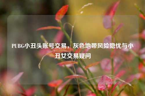 PUBG小丑头账号交易，灰色地带风险隐忧与小丑女交易疑问