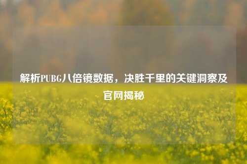 解析PUBG八倍镜数据，决胜千里的关键洞察及官网揭秘