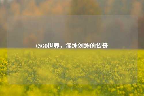 CSGO世界,瘤坤刘坤的传奇