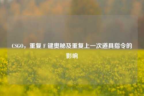 CSGO，重复 F 键奥秘及重复上一次道具指令的影响