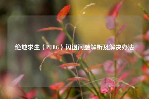 绝地求生(PUBG)闪退问题解析及解决办法