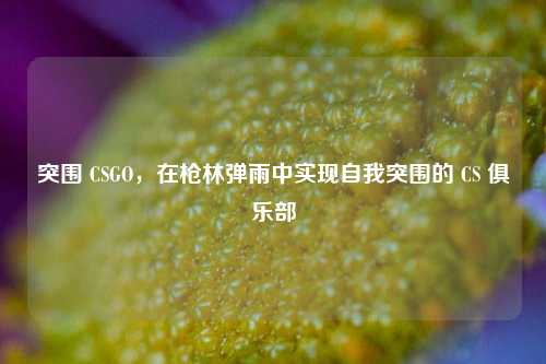 突围 CSGO，在枪林弹雨中实现自我突围的 CS 俱乐部