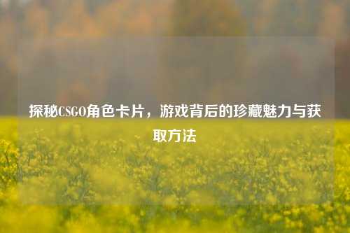 探秘CSGO角色卡片，游戏背后的珍藏魅力与获取方法