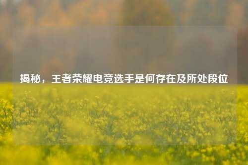 揭秘，王者荣耀电竞选手是何存在及所处段位