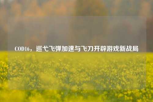 COD16，巡弋飞弹加速与飞刀开辟游戏新战局