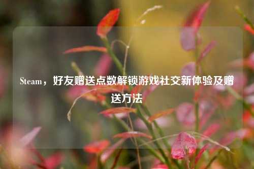 Steam，好友赠送点数解锁游戏社交新体验及赠送方法