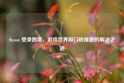 Steam 登录困境，游戏世界敲门砖难题的解决之道