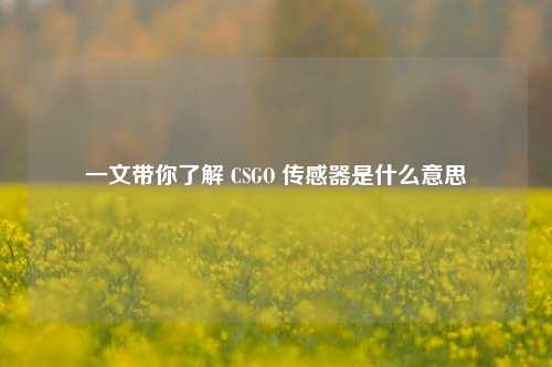 一文带你了解 CSGO 传感器是什么意思