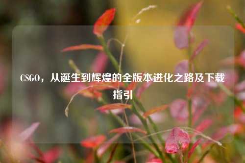 CSGO，从诞生到辉煌的全版本进化之路及下载指引