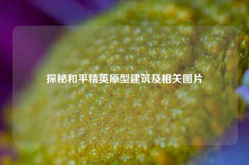 探秘和平精英原型建筑及相关图片