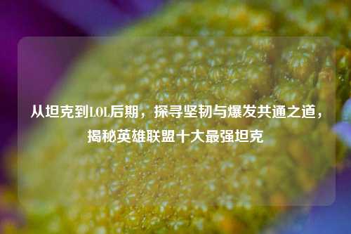 从坦克到LOL后期，探寻坚韧与爆发共通之道，揭秘英雄联盟十大最强坦克
