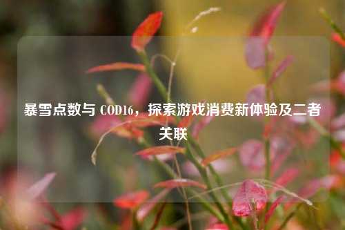 暴雪点数与 COD16，探索游戏消费新体验及二者关联