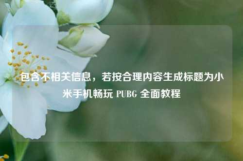 包含不相关信息，若按合理内容生成标题为小米手机畅玩 PUBG 全面教程