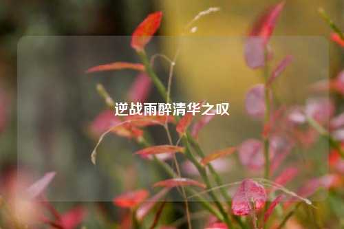 逆战雨醉清华之叹