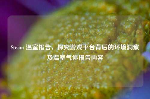 Steam 温室报告，探究游戏平台背后的环境洞察及温室气体报告内容