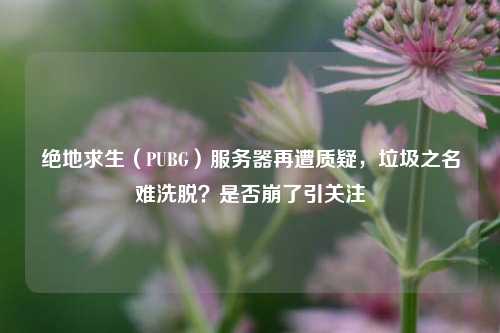 绝地求生（PUBG）服务器再遭质疑，垃圾之名难洗脱？是否崩了引关注