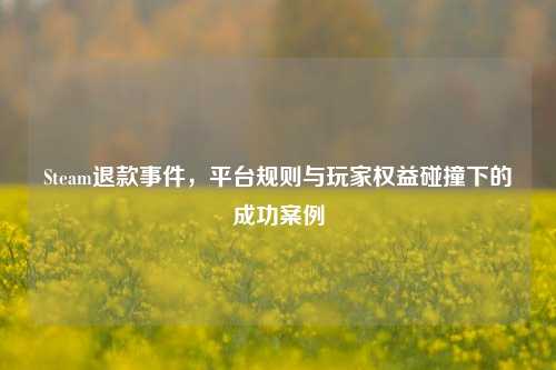 Steam退款事件，平台规则与玩家权益碰撞下的成功案例