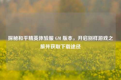 探秘和平精英体验服 GM 版本，开启别样游戏之旅并获取下载途径