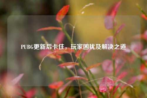 PUBG更新后卡住，玩家困扰及解决之道