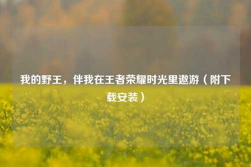 我的野王，伴我在王者荣耀时光里遨游（附下载安装）