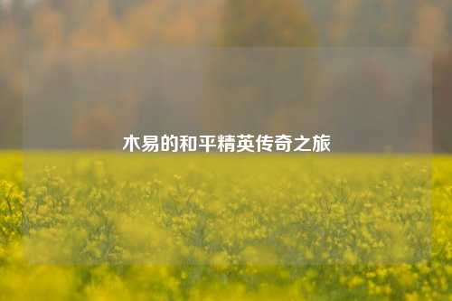 木易的和平精英传奇之旅