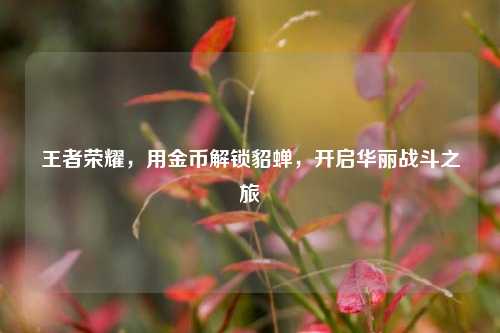 王者荣耀，用金币解锁貂蝉，开启华丽战斗之旅