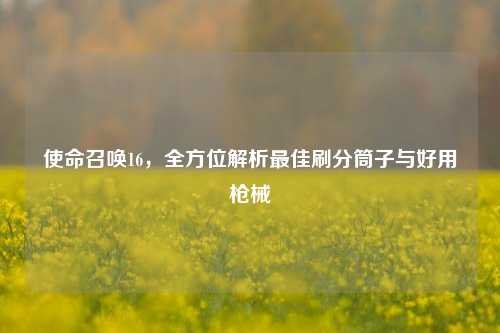 使命召唤16，全方位解析最佳刷分筒子与好用枪械