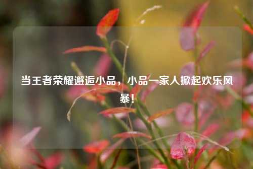 当王者荣耀邂逅小品，小品一家人掀起欢乐风暴！