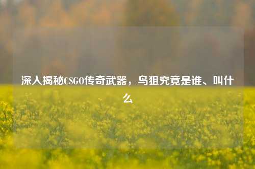深入揭秘CSGO传奇武器，鸟狙究竟是谁、叫什么