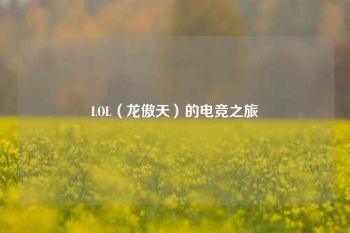 LOL（龙傲天）的电竞之旅