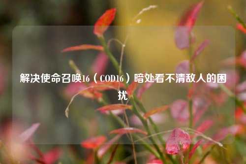 解决使命召唤16（COD16）暗处看不清敌人的困扰