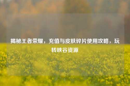 揭秘王者荣耀，充值与皮肤碎片使用攻略，玩转峡谷资源