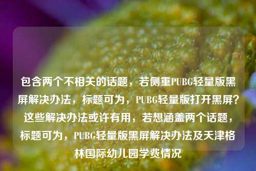 包含两个不相关的话题,若侧重PUBG轻量版黑屏解决办法,标题可为,PUBG轻量版打开黑屏?这些解决办法或许有用,若想涵盖两个话题,标题可为,PUBG轻量版黑屏解决办法及天津格林国际幼儿园学费情况