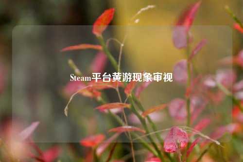 Steam平台黄游现象审视