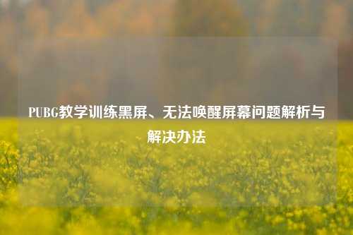 PUBG教学训练黑屏、无法唤醒屏幕问题解析与解决办法