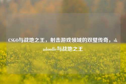 CSGO与战地之王，射击游戏领域的双璧传奇，skadoodle与战地之王