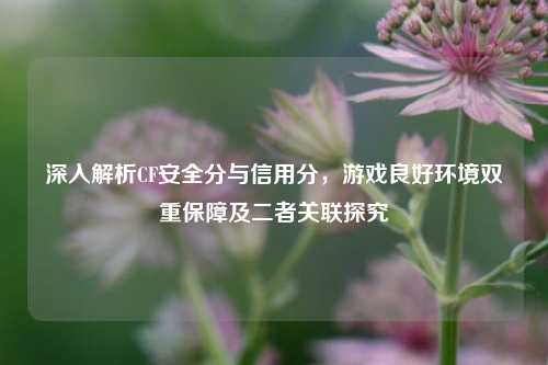 深入解析CF安全分与信用分，游戏良好环境双重保障及二者关联探究