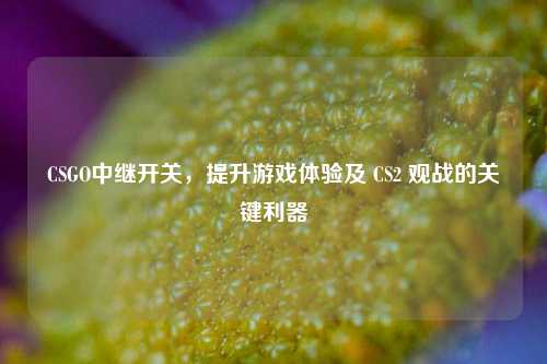 CSGO中继开关，提升游戏体验及 CS2 观战的关键利器