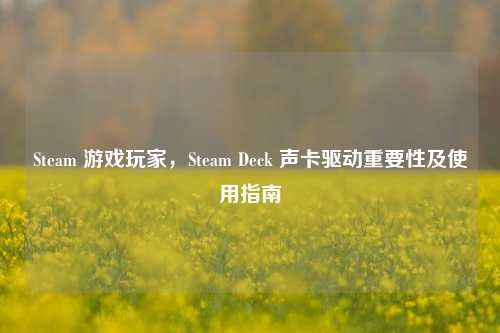Steam 游戏玩家，Steam Deck 声卡驱动重要性及使用指南