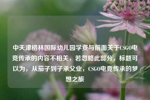 中天津格林国际幼儿园学费与前面关于CSGO电竞传承的内容不相关,若忽略此部分,标题可以为,从茄子到子承父业,CSGO电竞传承的梦想之旅