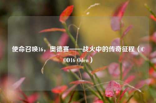 使命召唤16，奥德赛——战火中的传奇征程（COD16 Oden）