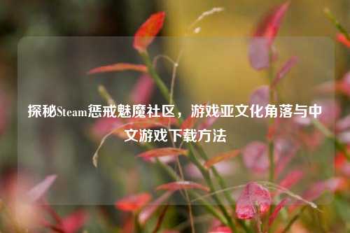 探秘Steam惩戒魅魔社区，游戏亚文化角落与中文游戏下载方法