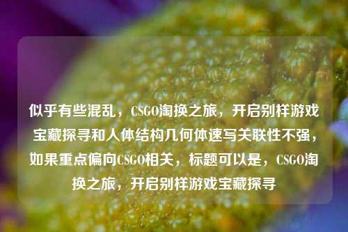 似乎有些混乱，CSGO淘换之旅，开启别样游戏宝藏探寻和人体结构几何体速写关联性不强，如果重点偏向CSGO相关，标题可以是，CSGO淘换之旅，开启别样游戏宝藏探寻