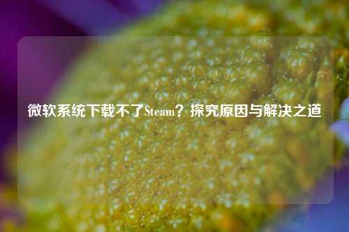 微软系统下载不了Steam？探究原因与解决之道