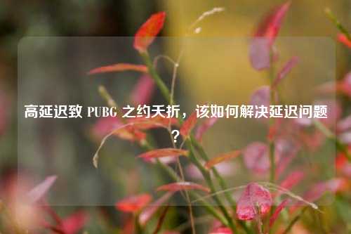 高延迟致 PUBG 之约夭折，该如何解决延迟问题？