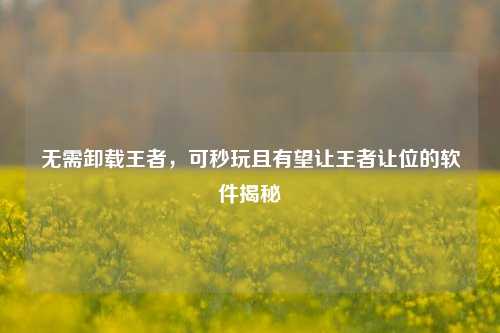 无需卸载王者，可秒玩且有望让王者让位的软件揭秘