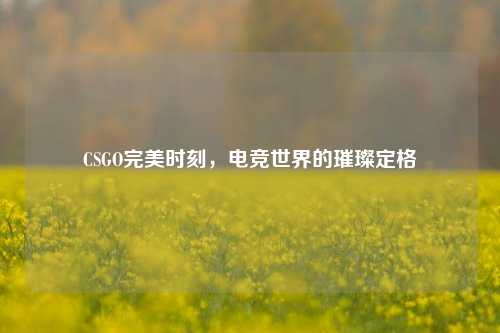 CSGO完美时刻，电竞世界的璀璨定格