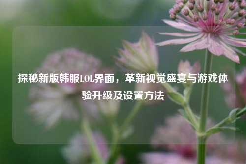 探秘新版韩服LOL界面，革新视觉盛宴与游戏体验升级及设置方法